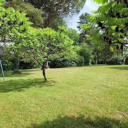 Dom wakacyjny Le Bonheur