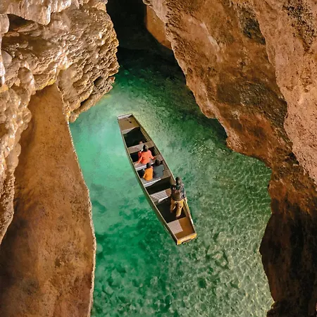 Le Bonheur Dom wakacyjny